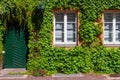 Small old traditional uk retro house facade door window wall entrance porch overgrown green ivy creeper plant and flower Royalty Free Stock Photo