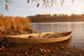 Small old wooden boat on the autumn beach Royalty Free Stock Photo