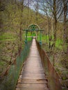 Small old wooden bridge over the mountain river. Beautiful mountain landscape with dry trees and earth covered with green grass. Royalty Free Stock Photo