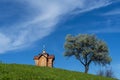 Small old wooden chapel on summer green grassy hill top, lonely willow tree and blue sky with cloud Royalty Free Stock Photo