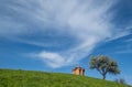 Small old wooden chapel on summer green grassy hill top  lonely willow tree and blue sky with cloud Royalty Free Stock Photo