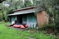 Small old wooden cottage covered with forest vegetation Royalty Free Stock Photo