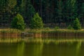 A small old wooden destroyed bridge