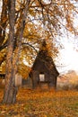 Small old wooden house. House for tourism. Golden autumn. Wooden house in the forest. Fairytale wooden house Royalty Free Stock Photo