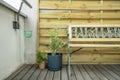 Small olive tree and brown potted plant on attic deck with iron bench