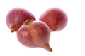 Small Onions Isolated