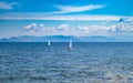 Small optimist boats with white sails, blue sky and sea background Royalty Free Stock Photo