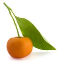 Small Orange