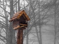 Small orange bird house standing, cold winter day. Royalty Free Stock Photo