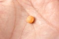 Small orange pill resting on a palm in bright light during the daytime Royalty Free Stock Photo