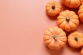 Small orange decorative pumpkins, top view