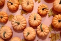 Small orange decorative pumpkins, top view