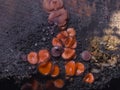 Small orange fungus eyelash cup, Molly eye-winker, Scutellinia scutellata, on old wet wood macro, selective focus Royalty Free Stock Photo