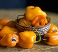 Small orange habanero chiles