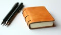 Orange Leather Bound Notebook With Two Pens Royalty Free Stock Photo