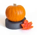 Small orange pumpkin on a gray stand and candle maple leaf isolated on white background Royalty Free Stock Photo