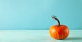 Small orange pumpkin on pastel blue background with copy space. Concept celebration of Halloween or Thanksgiving