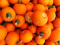 Small orange pumpkins