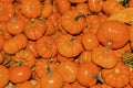 Small Orange Pumpkins Washington