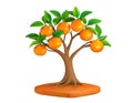 Small Orange tree full of oranges on a pot