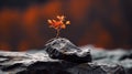 A small orange tree growing out of a rock on top, AI Royalty Free Stock Photo