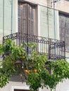 Small Orange Tree Under Iron Balcony Royalty Free Stock Photo