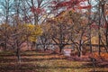 Small orchard at the gardens in the fall