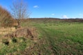 Small orchard in the North Kent countryside