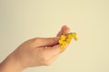 Small original yellow flower kept in the hand of a child on a light background