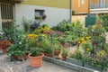 Small ornamental garden with flower pots Royalty Free Stock Photo