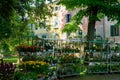 Flower display in Venice neighborhood Royalty Free Stock Photo