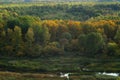 A small overgrown river flowing along a gloomy autumn forest. Aerial wiew nature landscape