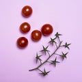 Small Pachino tomatoes Royalty Free Stock Photo