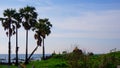 Small pagodas on the rock with toddy palm trees on a seaside Royalty Free Stock Photo