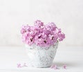 Small pale pink bouquet of lilac in clay pot against a white wall