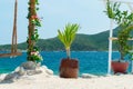 Small palm tree in a pot and a swing from a rope on the beach Royalty Free Stock Photo