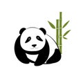 Small panda with bamboo Royalty Free Stock Photo