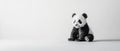A small panda cub sits on a white background Royalty Free Stock Photo