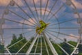 Small paper kite in shape of aeroplane flying in front of big white ferris wheel