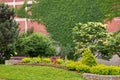 Small park garden with evergreens, bench, flowers and ivy Royalty Free Stock Photo