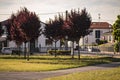 Small park in the middle of the houses Royalty Free Stock Photo