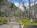 Small Park in Naran Valley, Pakistan Royalty Free Stock Photo