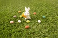 Small paschal eggs with a cute bunny on the green lawn