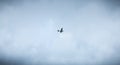 Small passenger plane flying over Isle of Yeu near France Royalty Free Stock Photo
