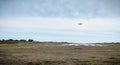 Small passenger plane taking off from an airfield on Yeu Island near France Royalty Free Stock Photo