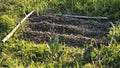 Small patch of land prepared for planting seedlings in the vegetable garden, early spring Royalty Free Stock Photo