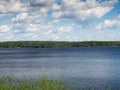 Nature background with coastal reed and shining lake water