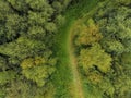 Small path in a green park, Aerial top view Royalty Free Stock Photo
