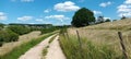 Small path on hiking-trail Moselsteig in rhineland-palatinate Royalty Free Stock Photo