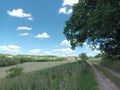 Small path in nature with fields, tree and village in background Royalty Free Stock Photo